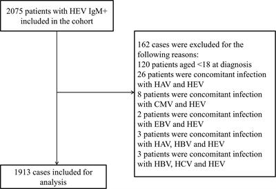 Prognostic Significance of End-Stage Liver Diseases, Respiratory Tract Infection, and Chronic Kidney Diseases in Symptomatic Acute Hepatitis E